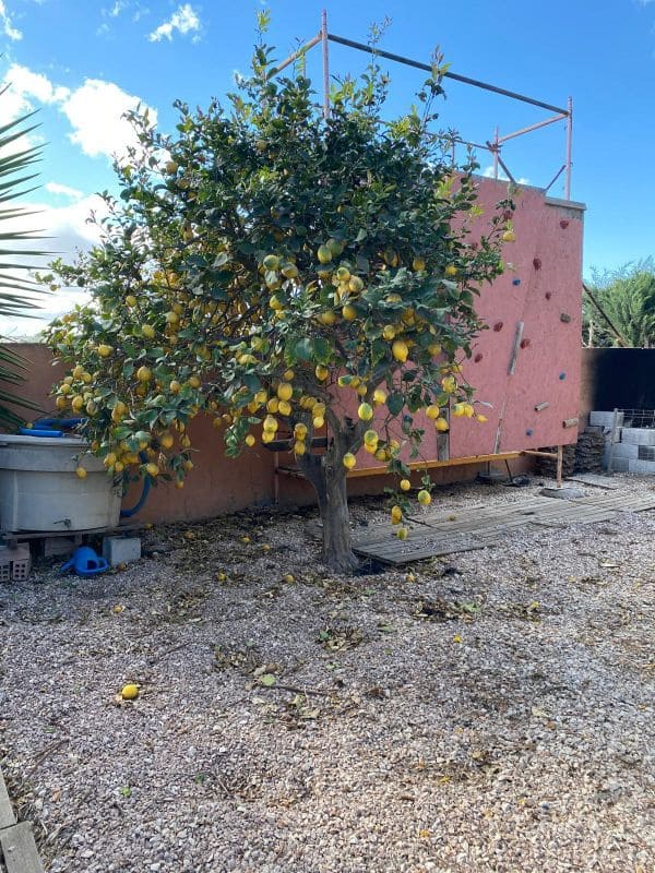 4 quarto Quinta/Casa Rural para venda em Pozo Estrecho com piscina garagem - 195 000 € (Ref: 8494635)