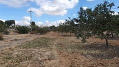 Grond te koop in Fuente Alamo de Murcia - € 42.000 (Ref: 8494644)