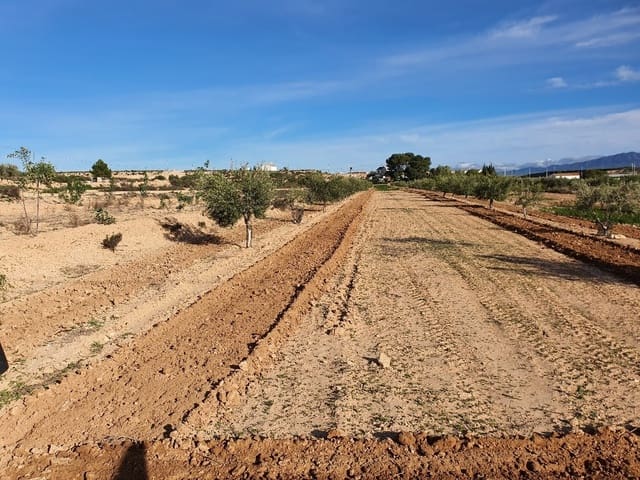 Grond te koop in Fuente Alamo de Murcia - € 42.000 (Ref: 8494644)