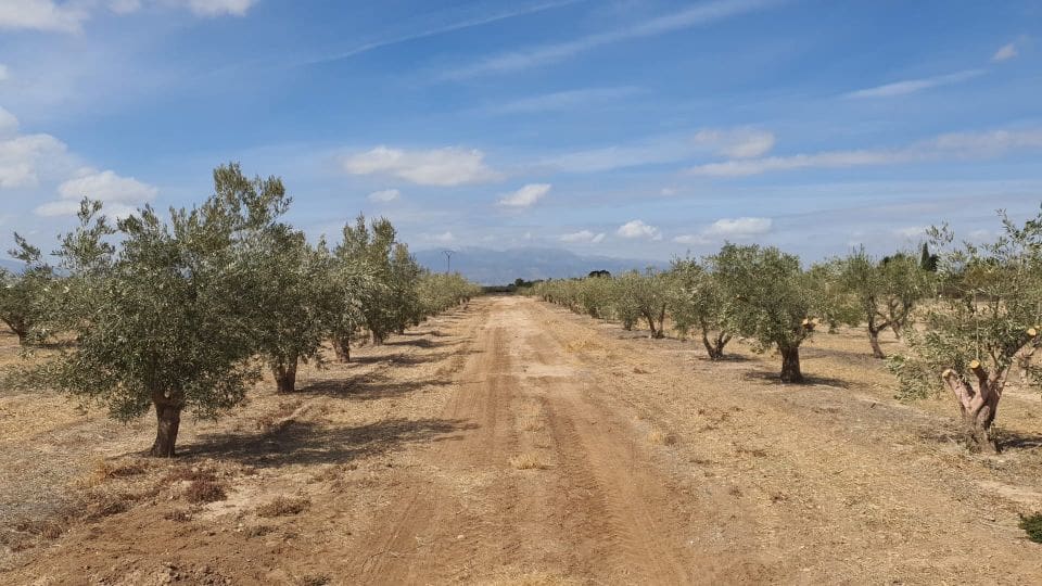 Grond te koop in Fuente Alamo de Murcia - € 42.000 (Ref: 8494644)