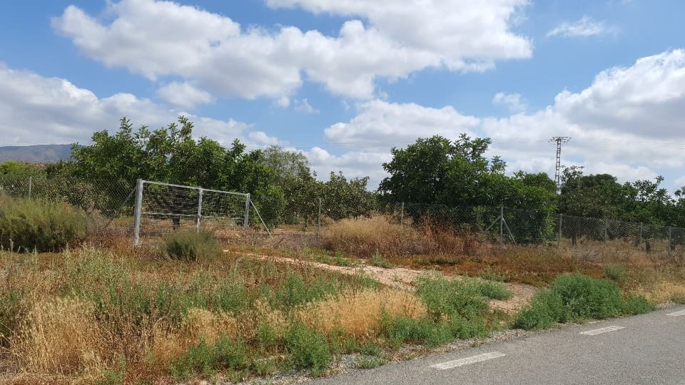 Grond te koop in Fuente Alamo de Murcia - € 42.000 (Ref: 8494644)