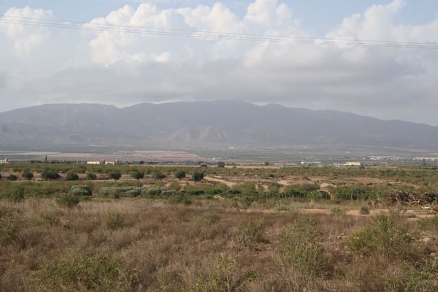 Terreno Não Urbanizado para venda em Cuevas de Reyllo, Fuente Alamo de Murcia - 12 000 € (Ref: 8494650)