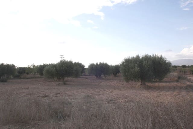 Terreno Não Urbanizado para venda em Cuevas de Reyllo, Fuente Alamo de Murcia - 12 000 € (Ref: 8494650)