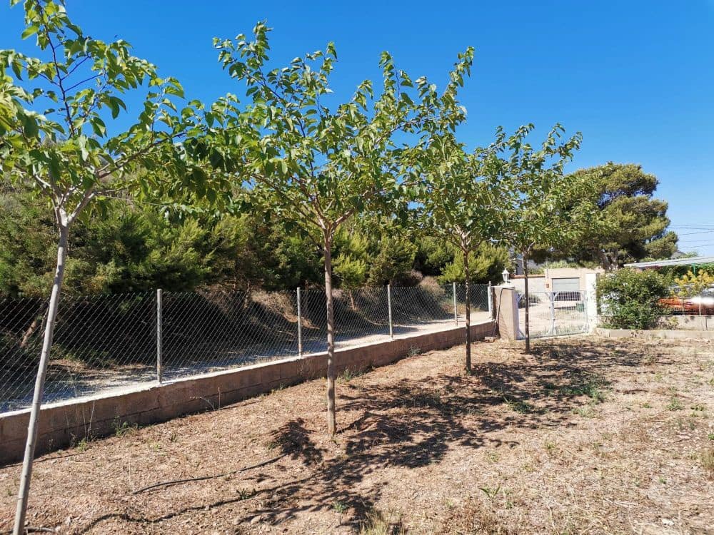 8 sypialnia Finka/Dom wiejski na sprzedaż w Playa Honda z garażem - 250 000 € (Ref: 8494651)