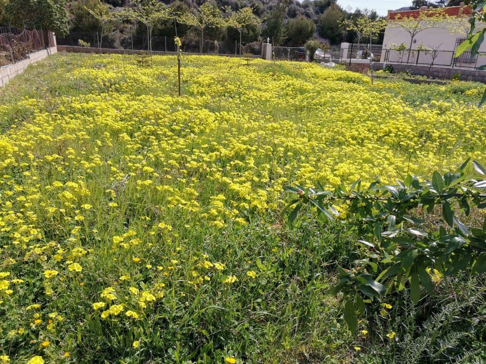 8 sypialnia Finka/Dom wiejski na sprzedaż w Playa Honda z garażem - 250 000 € (Ref: 8494651)