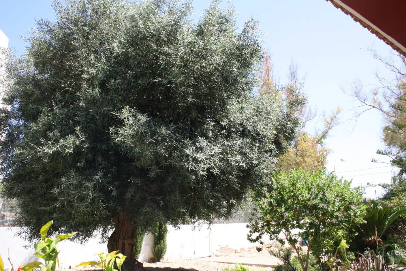 4 soveværelse Villa til salg i Playa Honda med garage - € 295.000 (Ref: 9161961)