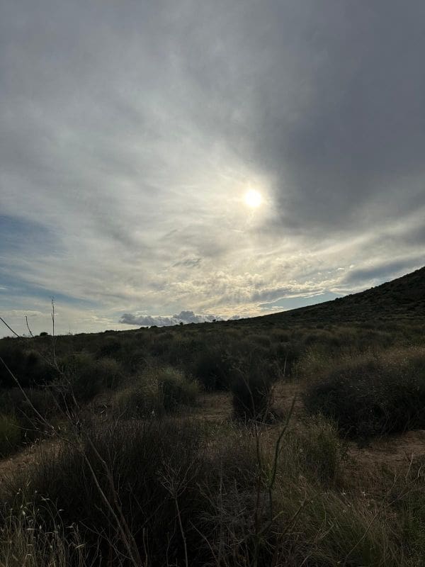 3 Zimmer Villa zu verkaufen in El Carmoli mit Pool Garage - 379.000 € (Ref: 9284097)