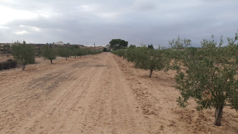 Terreno/Finca Rústica en Casillas en venta - 12.000 € (Ref: 9803962)