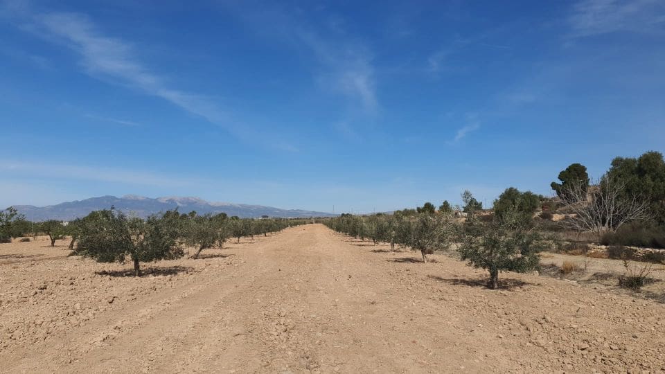 Terreno/Finca Rústica en Casillas en venta - 12.000 € (Ref: 9803962)