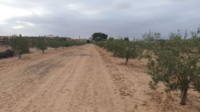 Terreno/Finca Rústica en Casillas, Murcia ciudad en venta - 12.000 € (Ref: 9803962)