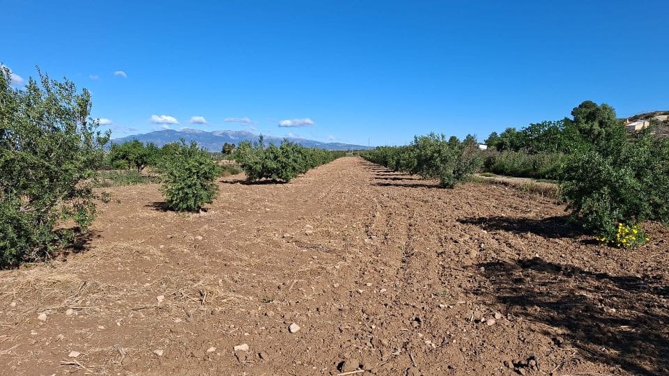 Terreno/Finca Rústica en Casillas en venta - 12.000 € (Ref: 9803962)