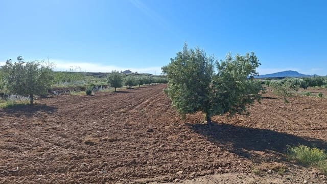 Terreno/Finca Rústica en Casillas, Murcia ciudad en venta - 12.000 € (Ref: 9803962)