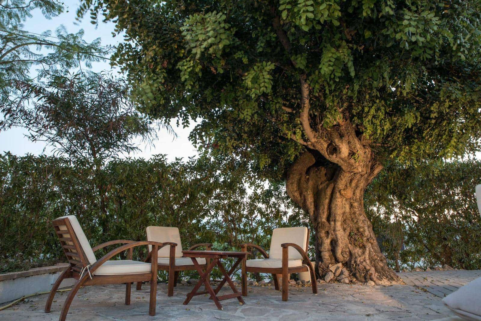 1 soverom Kommersiell til salgs i Javea / Xabia med garasje - € 950 000 (Ref: 9777138)