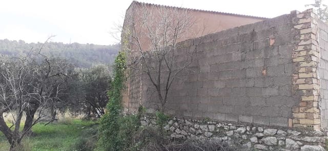 Terreno Non Edificato in vendita in Orba - 105.000 € (Rif: 4949417)
