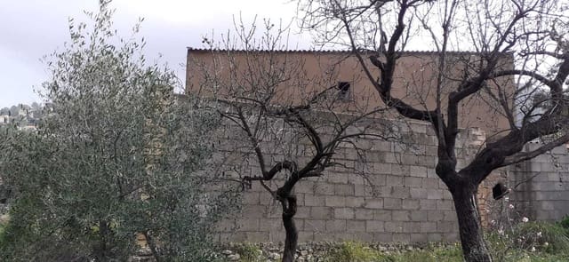 Terreno Non Edificato in vendita in Orba - 105.000 € (Rif: 4949417)