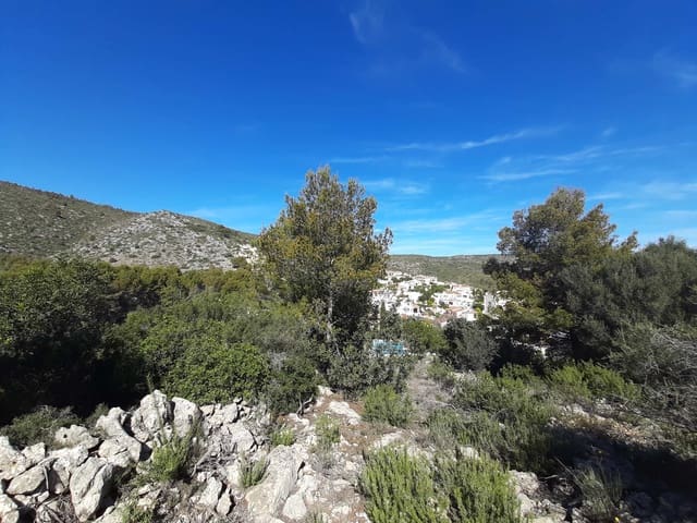 Undeveloped Land for sale in Alcalalí / Alcanalí - € 110,000 (Ref: 5707238)
