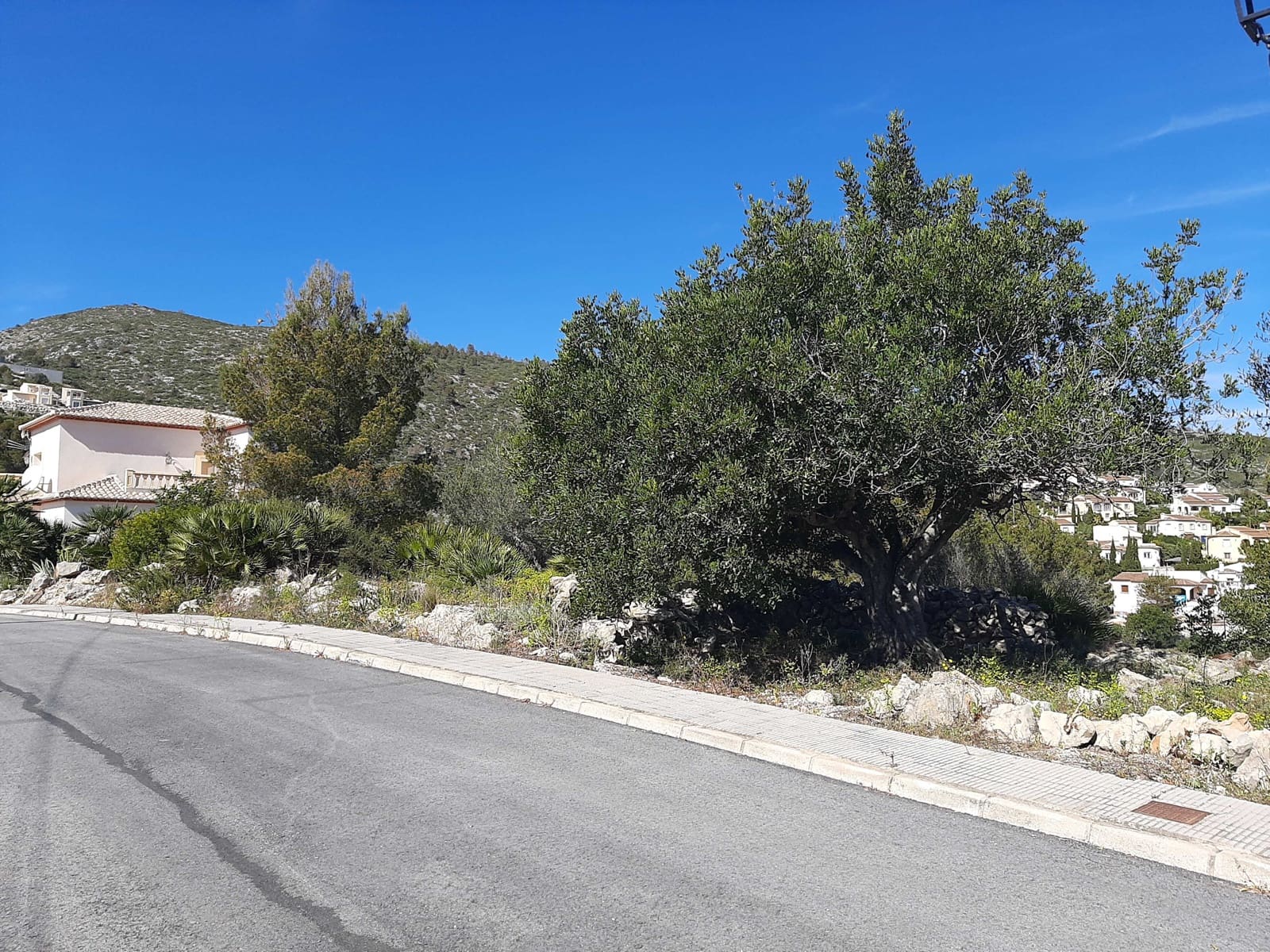 Ubebygd land til salgs i Alcalali / Alcanali - € 110 000 (Ref: 5707238)