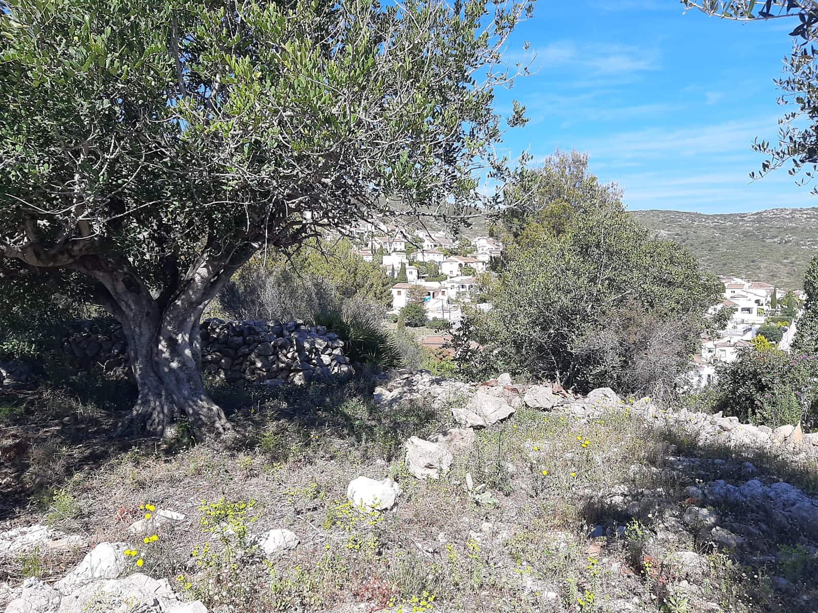 Ubebygd land til salgs i Alcalali / Alcanali - € 110 000 (Ref: 5707238)