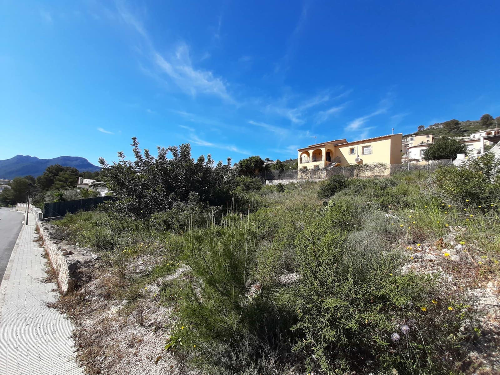 Teren niezagospodarowany na sprzedaż w Alcalali / Alcanali - 95 000 € (Ref: 5707240)