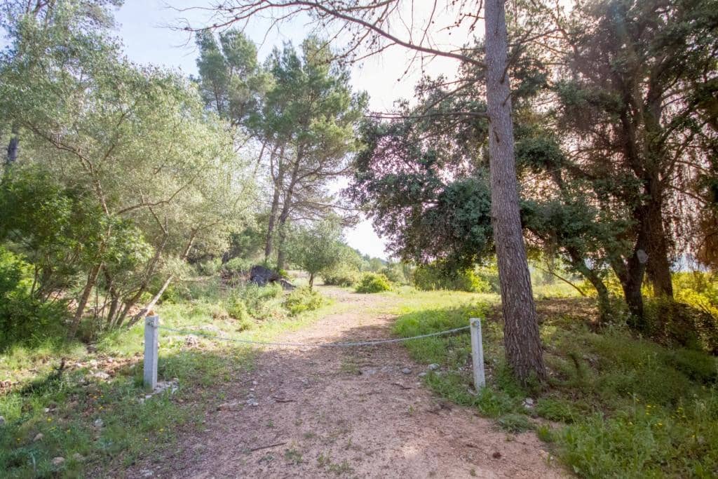 Mark till salu i Murla - 165 000 € (Ref: 7153111)