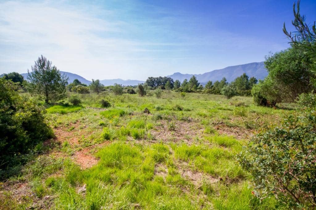 Mark till salu i Murla - 165 000 € (Ref: 7153111)