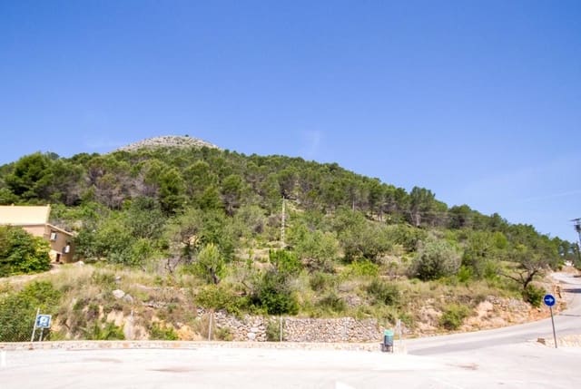 Undeveloped Land for sale in Murla - € 120,000 (Ref: 7153112)