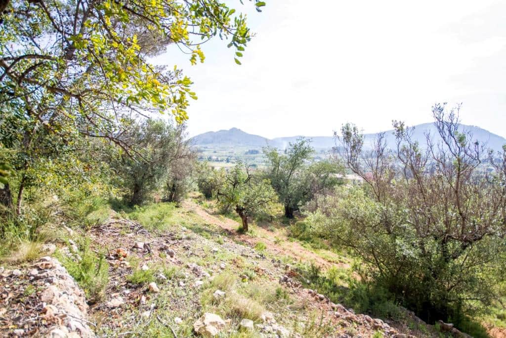 Ubebygd land til salgs i Murla - € 120 000 (Ref: 7153112)