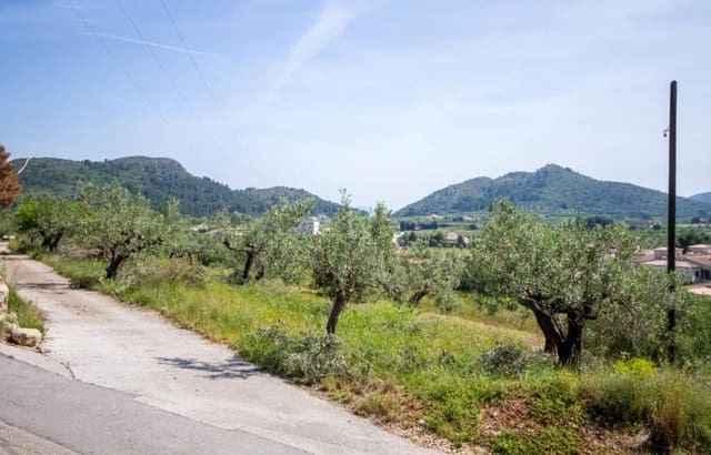 Undeveloped Land for sale in Murla - € 120,000 (Ref: 7153112)