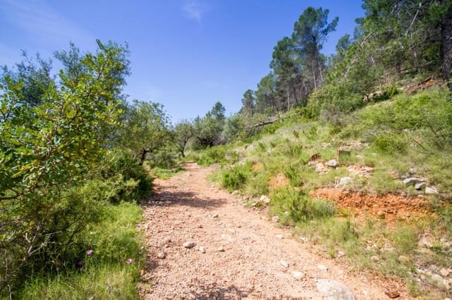 Undeveloped Land for sale in Murla - € 120,000 (Ref: 7153112)