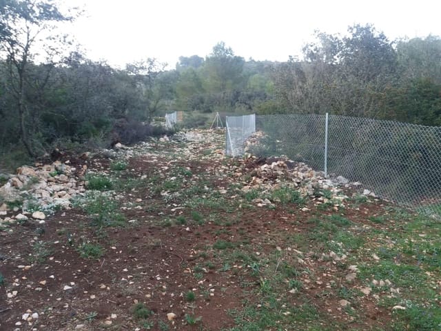 Undeveloped Land for sale in Alcalalí / Alcanalí - € 190,000 (Ref: 7403471)