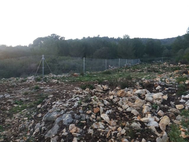 Undeveloped Land for sale in Alcalalí / Alcanalí - € 190,000 (Ref: 7403471)