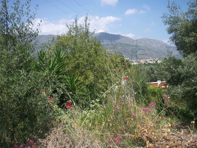 Undeveloped Land for sale in Orba - € 80,000 (Ref: 7555236)