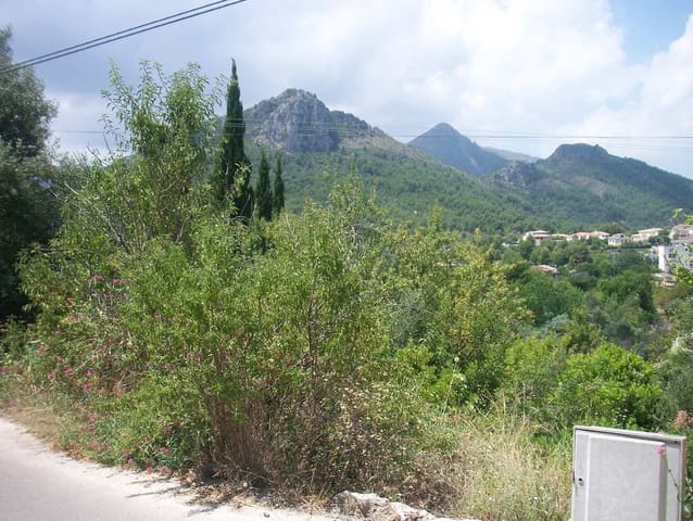 Undeveloped Land for sale in Orba - € 80,000 (Ref: 7555236)
