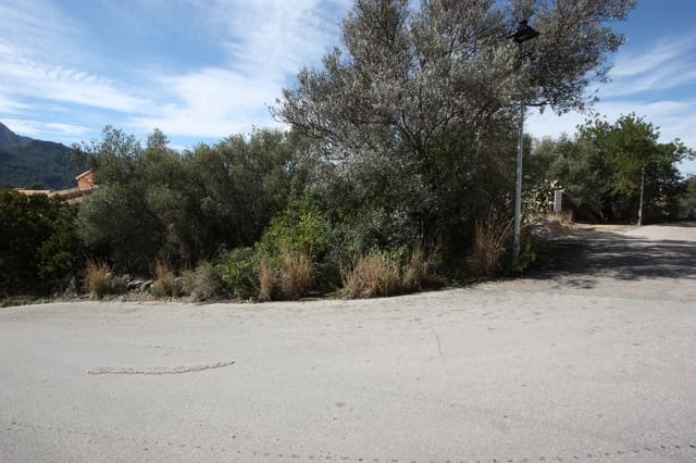 Undeveloped Land for sale in Orba - € 95,000 (Ref: 7568545)