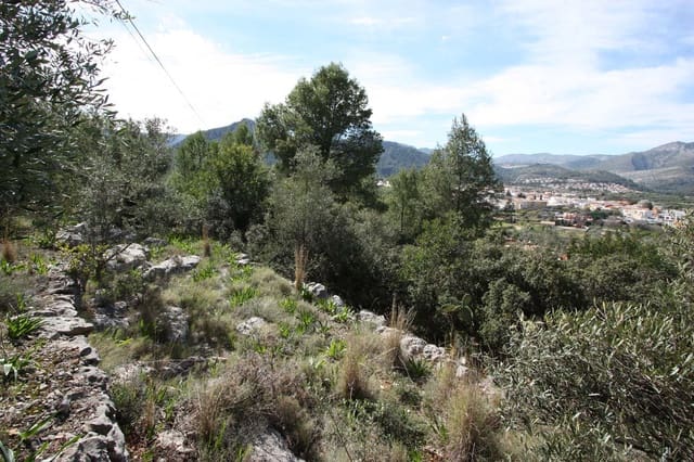 Undeveloped Land for sale in Orba - € 95,000 (Ref: 7568545)