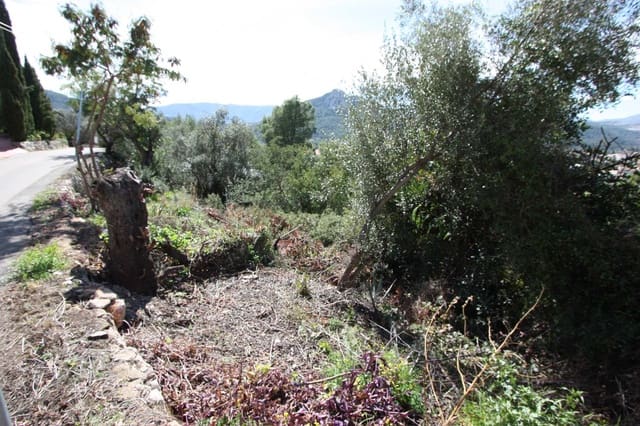 Undeveloped Land for sale in Orba - € 95,000 (Ref: 7568545)
