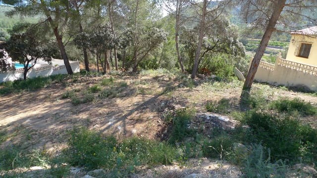 Undeveloped Land for sale in Alcalalí / Alcanalí - € 120,000 (Ref: 7568548)