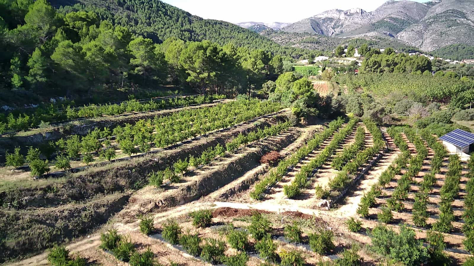 Grunde uden byggetilladelser til salg i Orba - € 200.000 (Ref: 7568553)