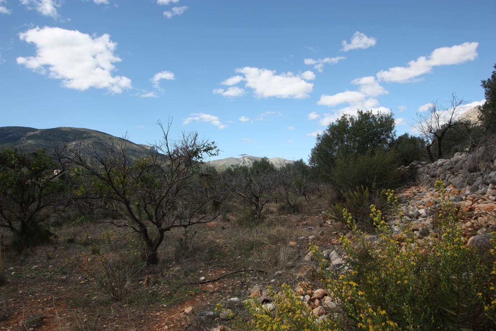 Mark till salu i Murla - 220 000 € (Ref: 7568554)