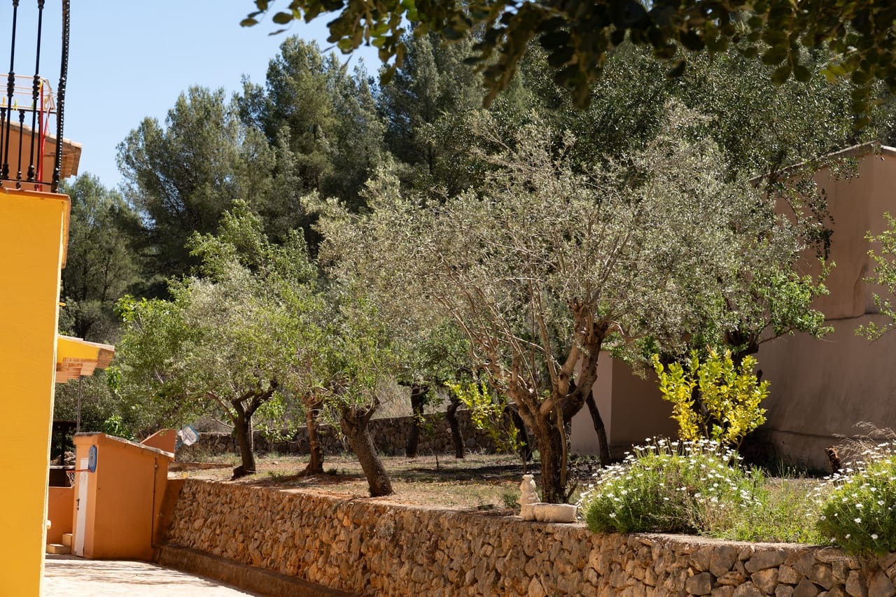 10 sypialnia Finka/Dom wiejski na sprzedaż w Jalon / Xalo z basenem - 1 115 000 € (Ref: 8296673)