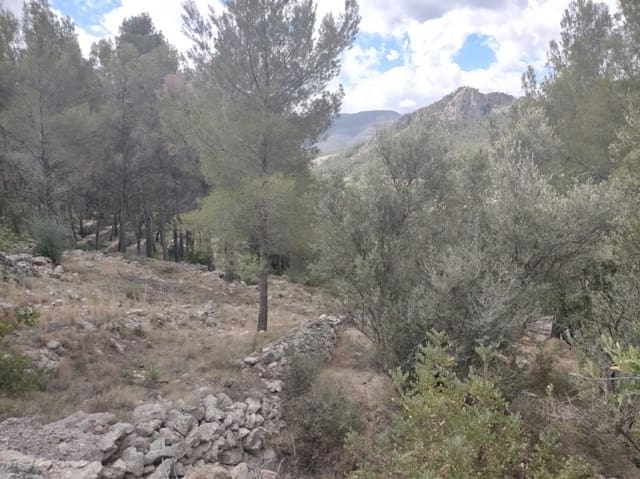 Grond te koop in Orba - € 65.000 (Ref: 8307431)