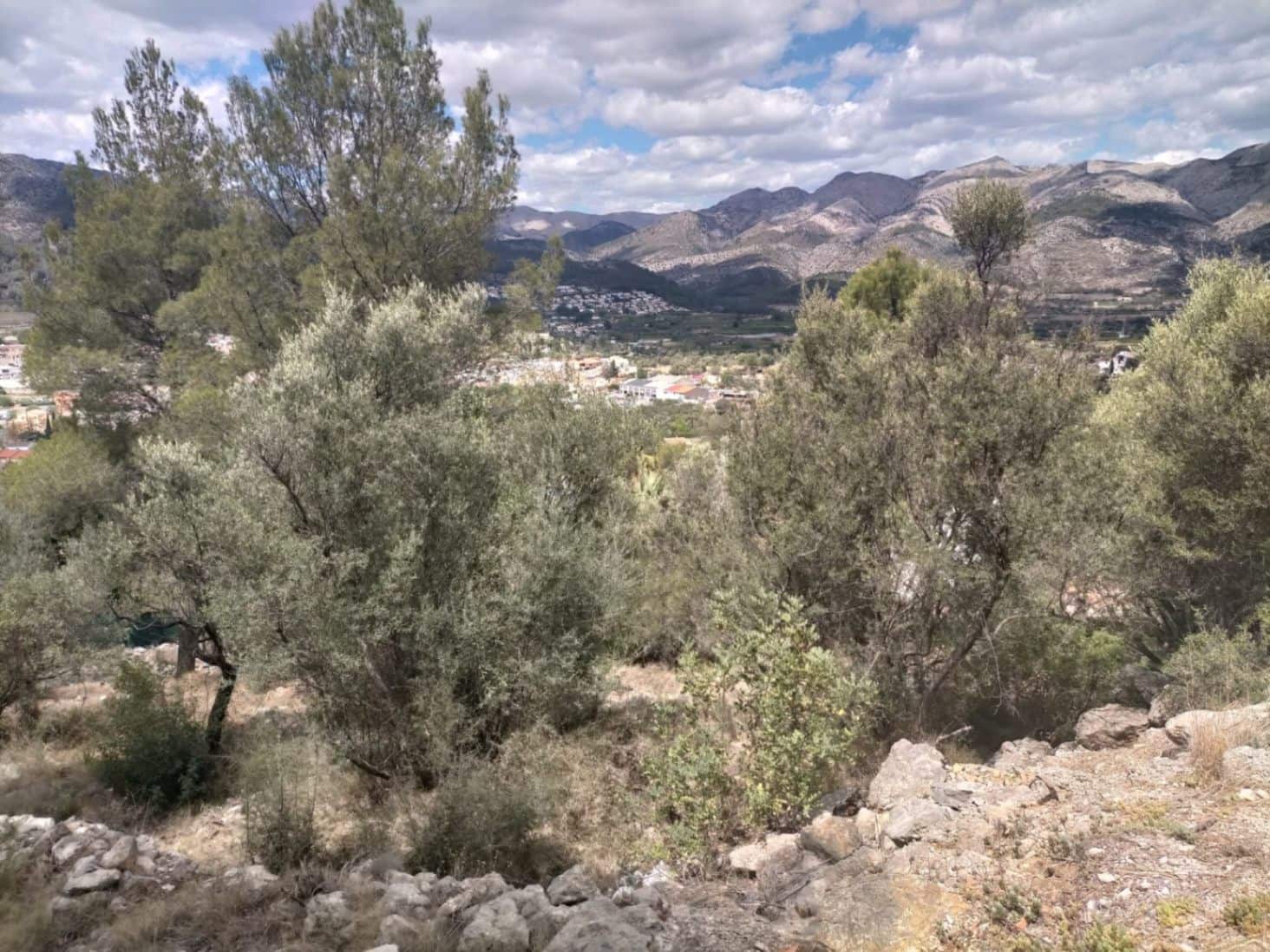 Grond te koop in Orba - € 65.000 (Ref: 8307431)