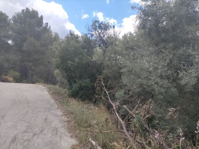 Grond te koop in Orba - € 65.000 (Ref: 8307431)