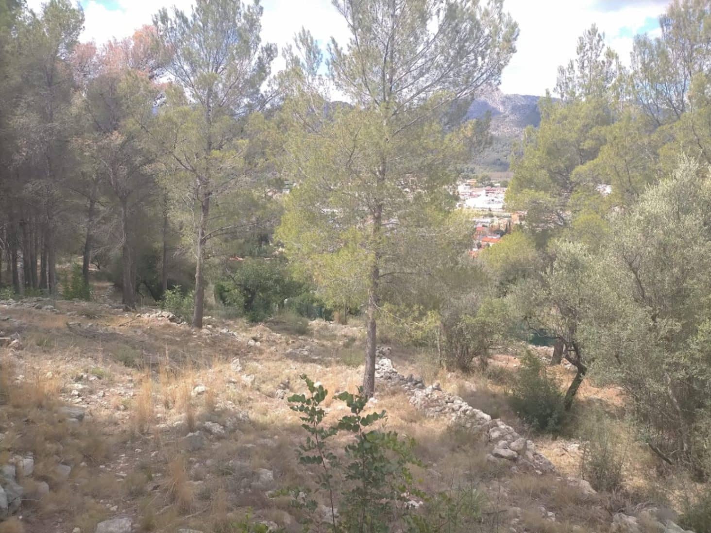 Grond te koop in Orba - € 65.000 (Ref: 8307431)