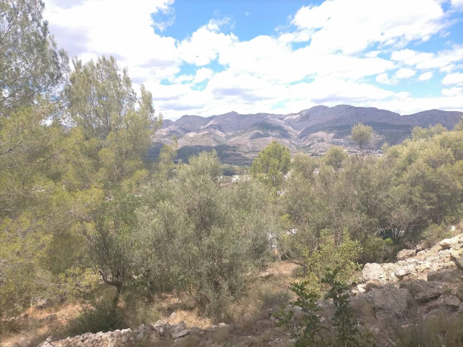 Grond te koop in Orba - € 65.000 (Ref: 8307431)