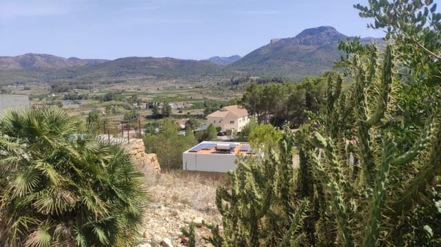Undeveloped Land for sale in Alcalalí / Alcanalí - € 65,000 (Ref: 8374152)