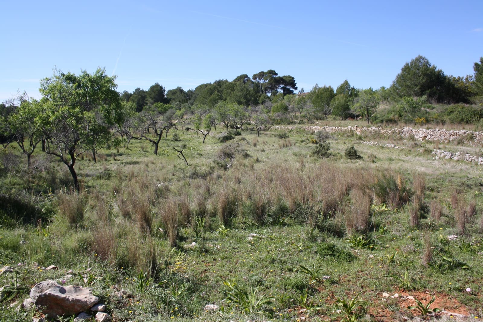 5 Zimmer Villa zu verkaufen in Benissa - 1.550.000 € (Ref: 8552999)