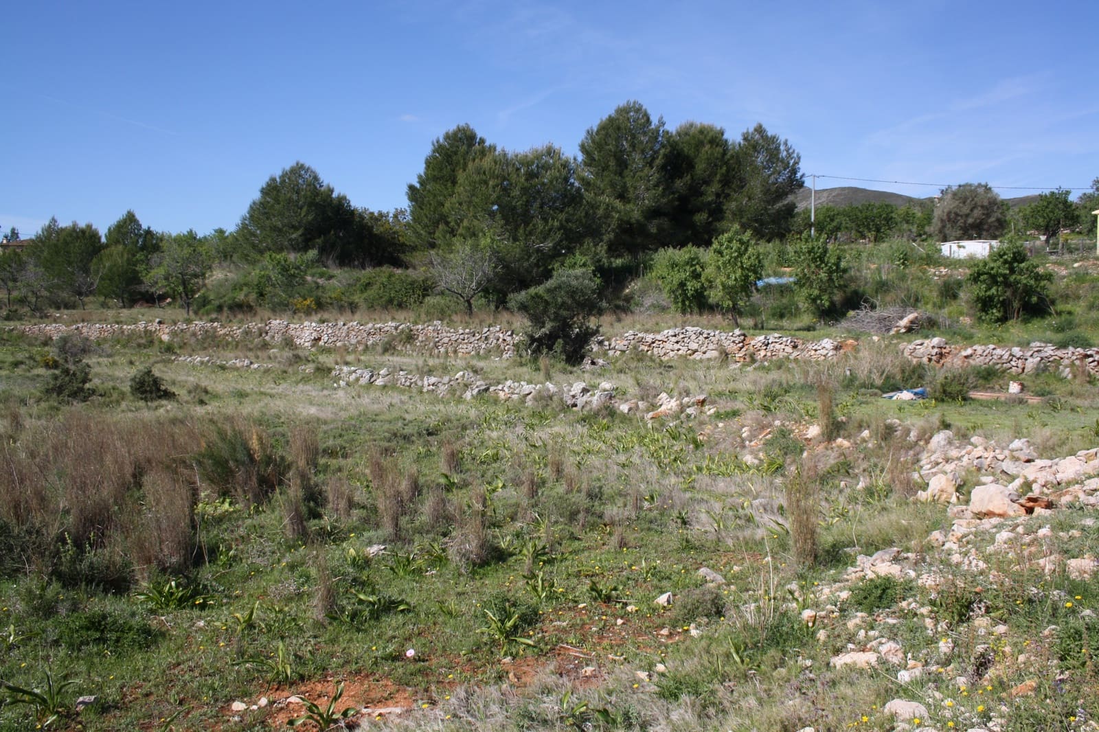 5 Zimmer Villa zu verkaufen in Benissa - 1.550.000 € (Ref: 8552999)