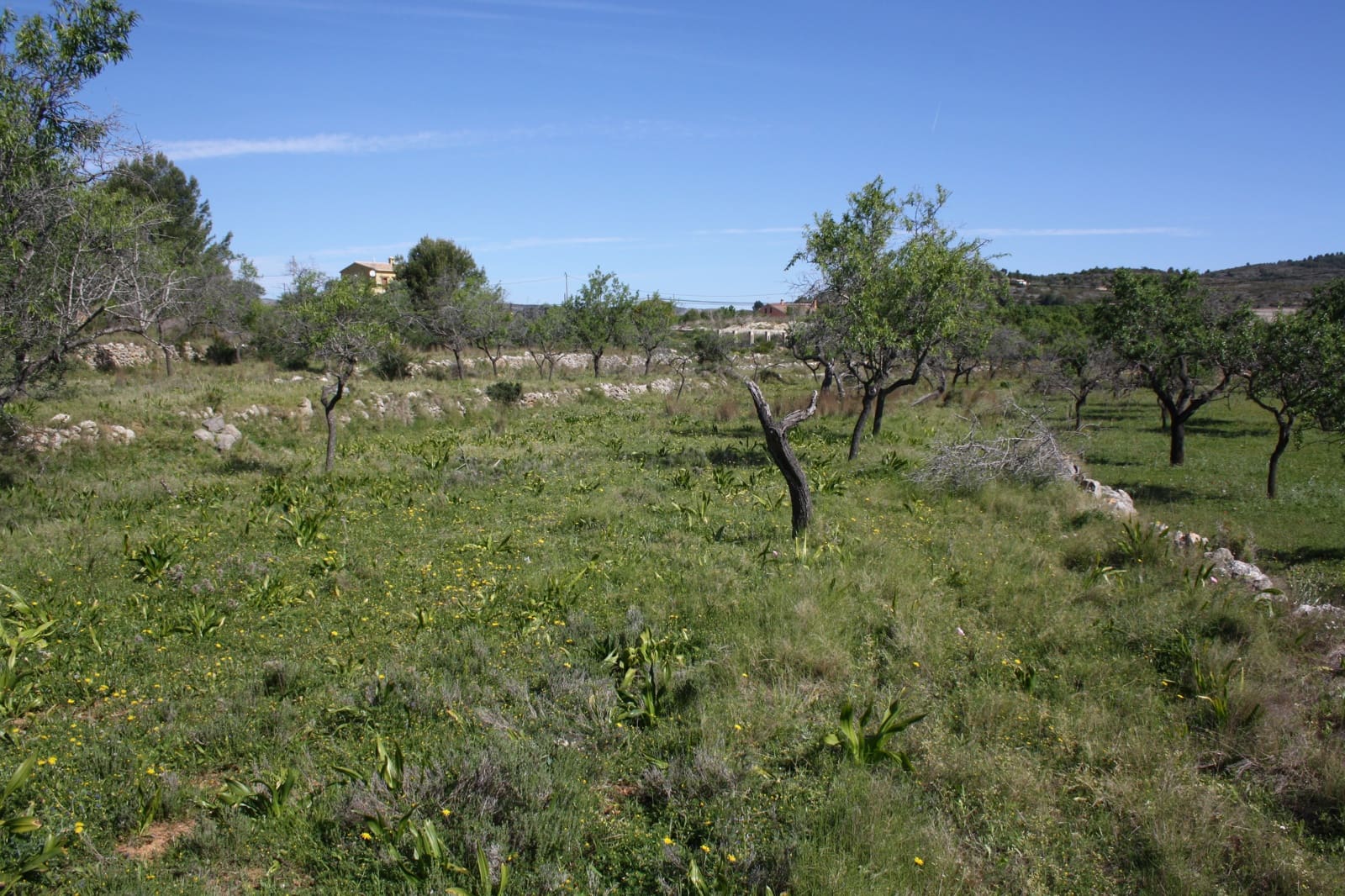 5 Zimmer Villa zu verkaufen in Benissa - 1.550.000 € (Ref: 8552999)