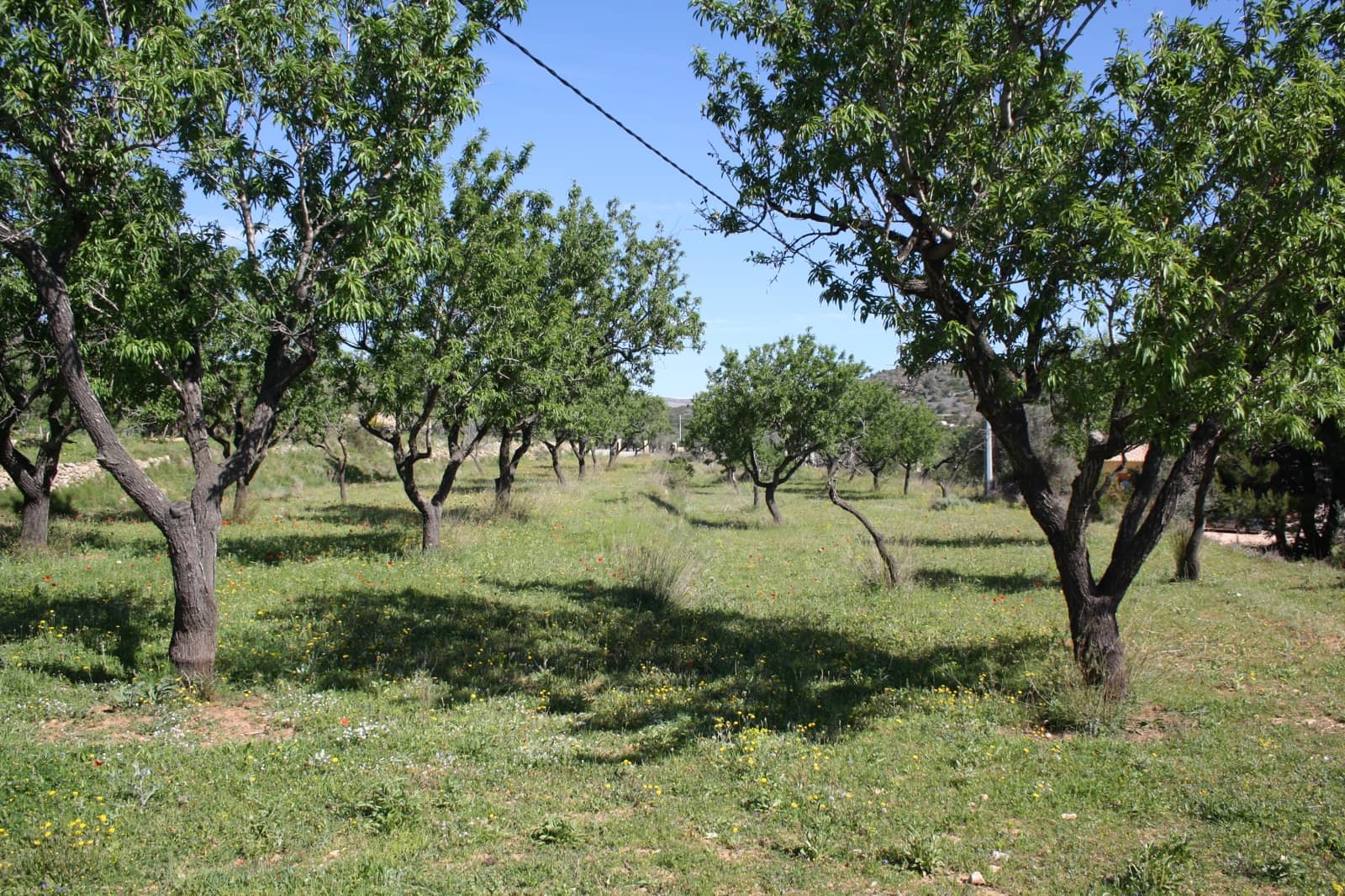 5 Zimmer Villa zu verkaufen in Benissa - 1.550.000 € (Ref: 8552999)